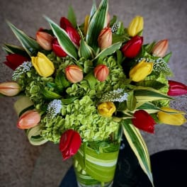 Bouquet of red, yellow, and peach tulips with green hydrangeas in a glass vase
