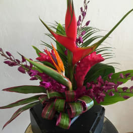 Tropical arrangement with red heliconia and purple orchids in a black container