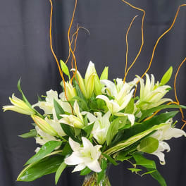 White lilies arranged in a clear glass vase with curly branches