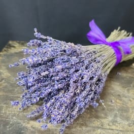 Bundle of dried lavender tied with a purple ribbon