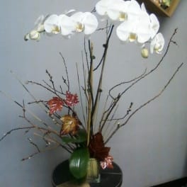 White orchid arrangement in a vase with decorative branches and leaves