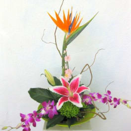 Tropical flower arrangement with orange bird-of-paradise and pink lily