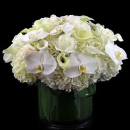 White floral arrangement in a dark green vase