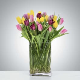 Bouquet of pink, yellow, and purple tulips in a clear glass vase