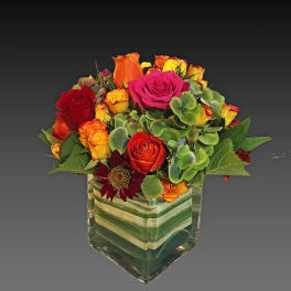 Mixed roses and a dark daisy in a square glass vase