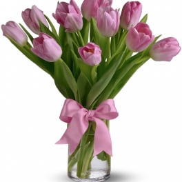 Just Pink Tulips
