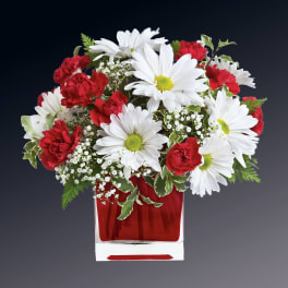 Red and White Delight by Teleflora