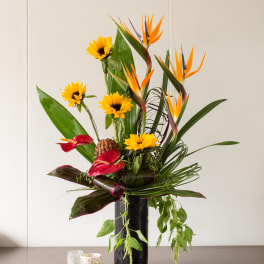 Tropical arrangement with sunflowers and bird of paradise in a black vase