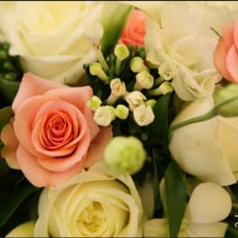 Bouquet of peach and white roses with small white filler flowers