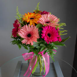 Dozen Gerbera