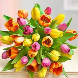 Bouquet of multicolored tulips with green leaves