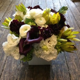 Mixed floral arrangement with white blooms, dark purple flowers, and green accents in a square vase