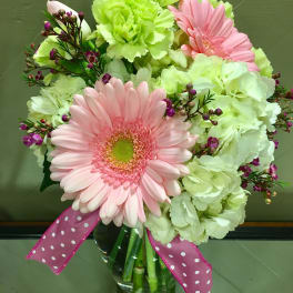 Pink gerbera daisies and pale green carnations in a glass vase with a polka-dot ribbon.