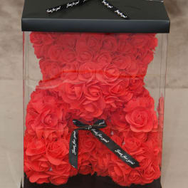 Red rose teddy bear in a clear gift box with a black ribbon
