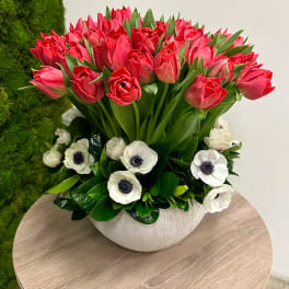 Low white bowl of red tulips with white anemones in a compact arrangement