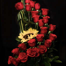 Tall bouquet of red roses with a yellow sunflower against a black background