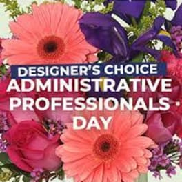 Designer Choice Admin Day
