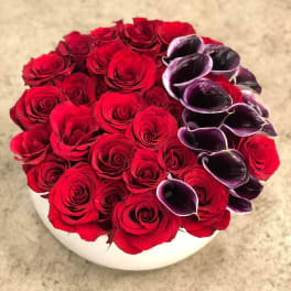 Low round arrangement of red roses with dark purple mini calla lilies in a white bowl