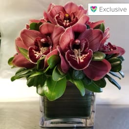 Pink orchids arranged in a clear square vase