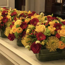 Rows of colorful flower arrangements in low rectangular containers