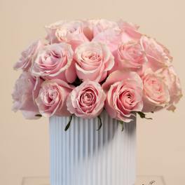 Pink roses arranged in a white ribbed vase