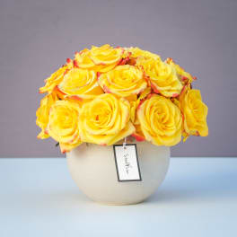 Yellow roses in a round white vase
