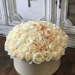 Round box arrangement of cream and blush roses
