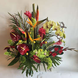Tropical floral arrangement with orchids, anthuriums, and bird-of-paradise