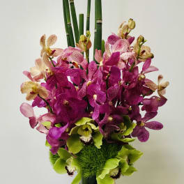 Tall orchid arrangement in a dark vase with bamboo stems