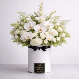 White Serenity By Newport Florist