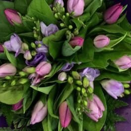 Bouquet of pink and purple tulips with green foliage