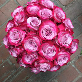Round bouquet of pink roses with pale centers