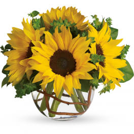 Sunny Sunflower by Teleflora