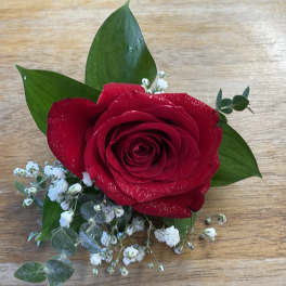 Single red rose with small white filler flowers and green leaves