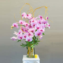Pink orchids in a glass vase with curly branches and a small candle