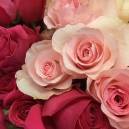Close-up bouquet of pink and white roses