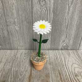 Flower Pot Pen