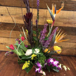 Tropical floral arrangement with orchids, tulips, and bird of paradise