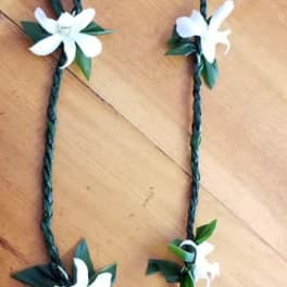 Sadorra Single Ti-Leaf Lei *Orchid color may vary upon availability