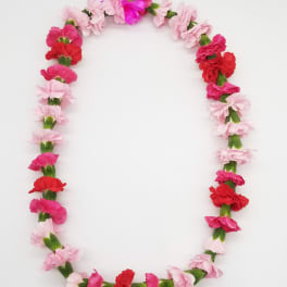 Single Carnation Lei