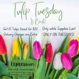 Tulip Tuesday Special