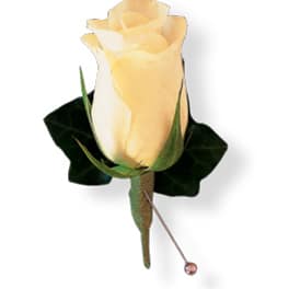 Single pale yellow rose boutonniere with dark leaves and a pin
