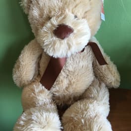 22" teddy bear