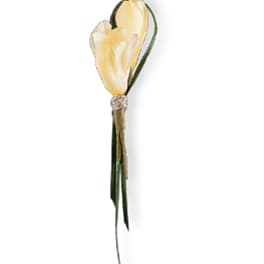 Single pale yellow calla lily boutonniere with long stems
