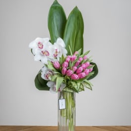 Pink tulips and white orchids arranged in a tall glass vase