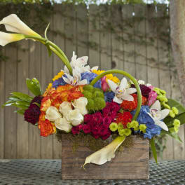 Colorful floral arrangement in a wooden box with white calla lilies