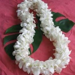 White flower lei on a pink background with green leaves