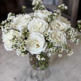 Urban Gardener White Roses