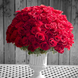 Large bouquet of red roses in a white pedestal vase