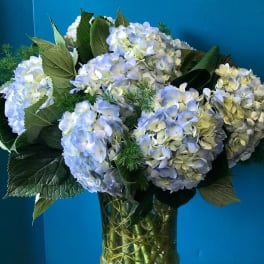 Blue and white hydrangea bouquet in a glass vase